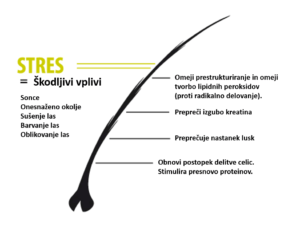 Zaščita in obnova las s keratinom